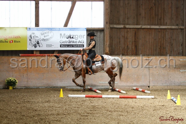 28-ApHC OT_208.jpg